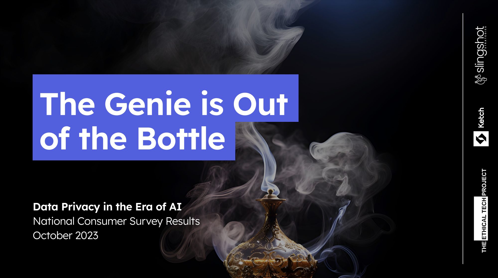 The genie is out of the bottle data privacy in the era of ai